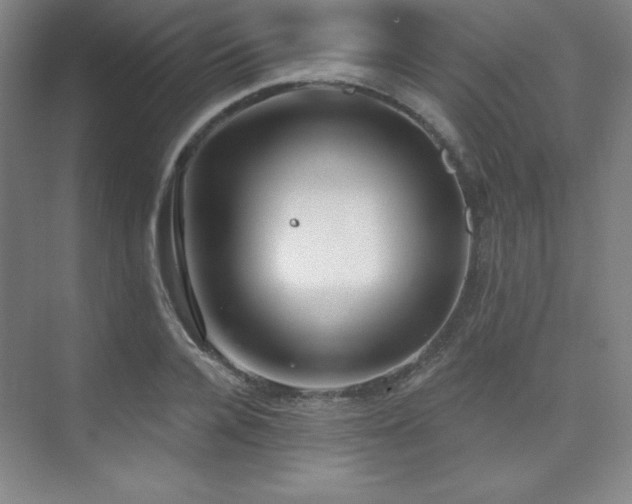 X0000073870936200608101506