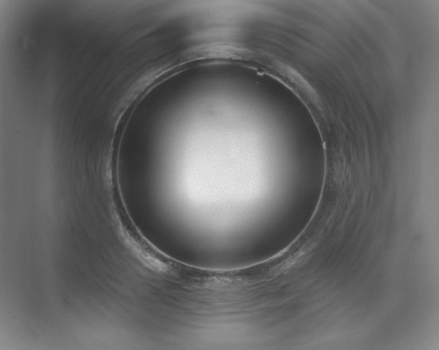 X0000073870938200608101506