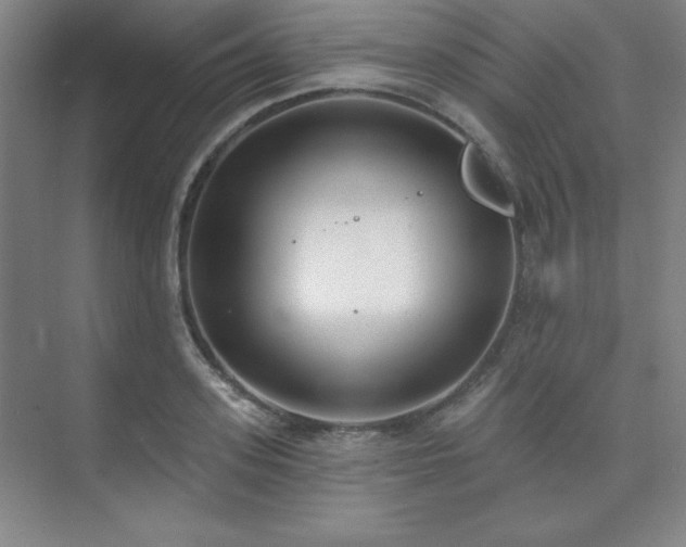 X0000073870939200608101506