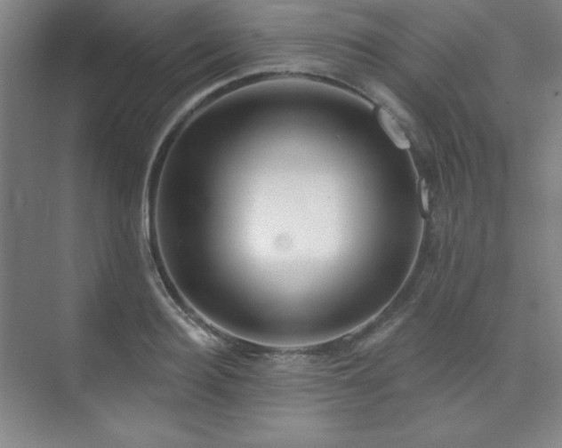 X0000073870940200608101506