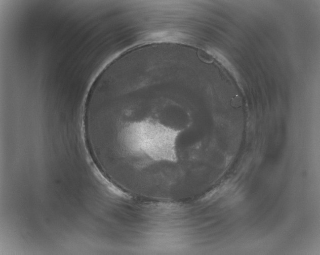 X0000073870941200608101506