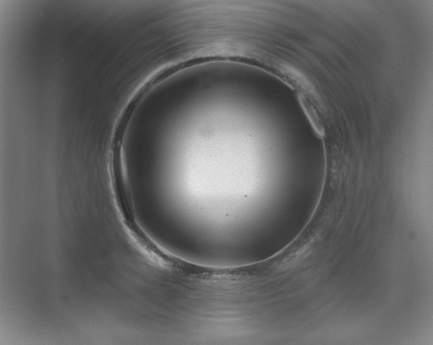 X0000073870942200608101506