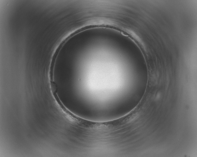 X0000073870943200608101506