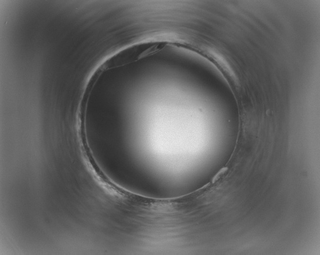 X0000073870944200608101506