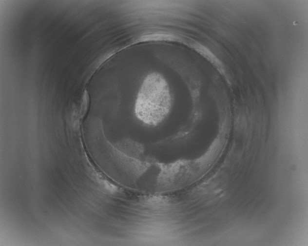 X0000073870945200608101506