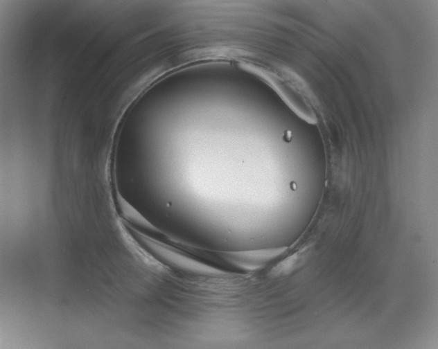 X0000073870946200608101506