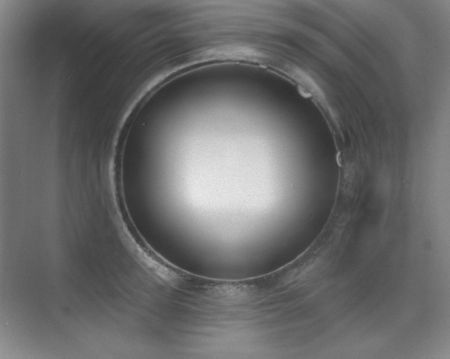 X0000073870947200608101506