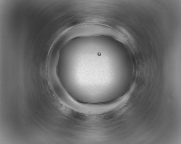 X0000073870948200608101506