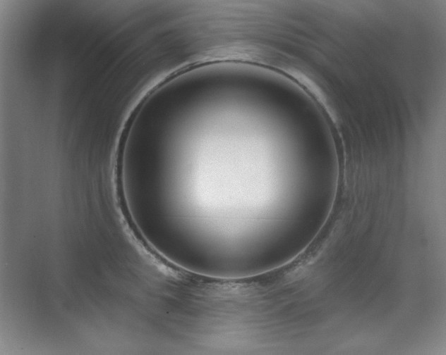 X0000073870949200608101506