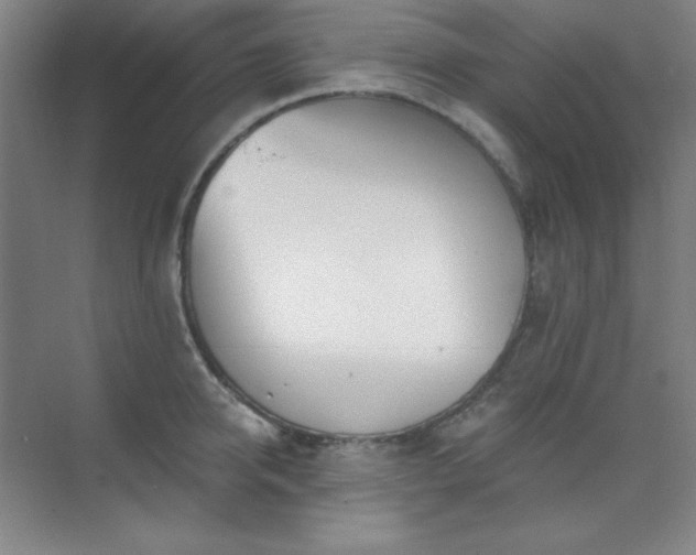 X0000073870950200608101506