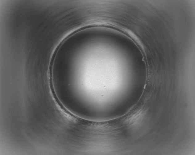 X0000073870951200608101506