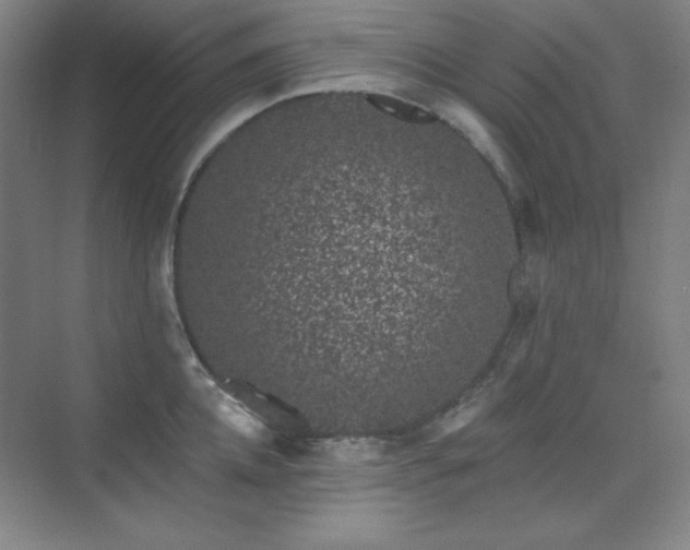 X0000073870952200608101506