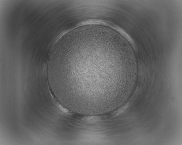 X0000073870953200608101506