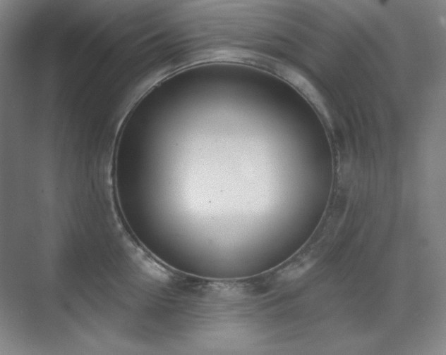 X0000073870954200608101506