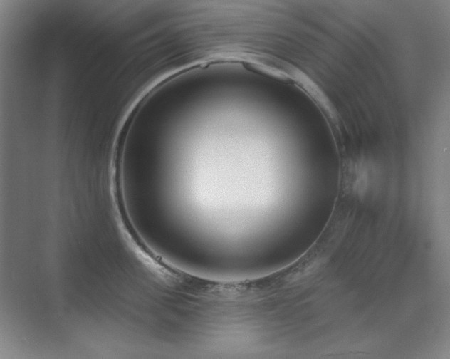 X0000073870955200608101506