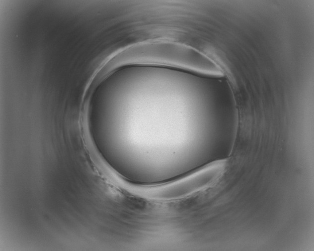 X0000073870956200608101506