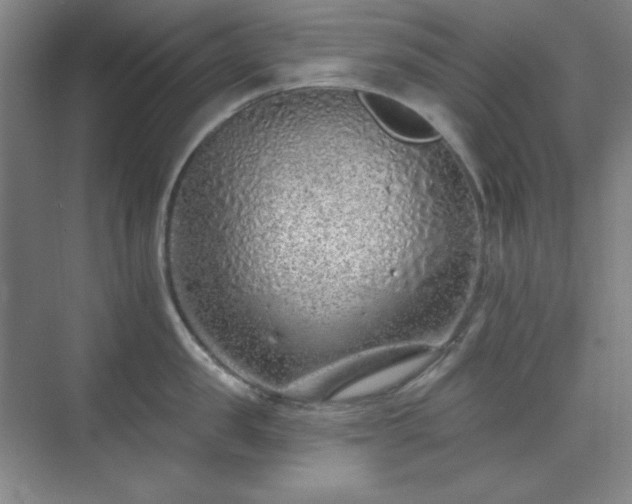 X0000073870957200608101506