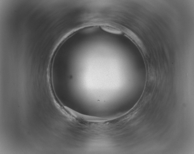 X0000073870958200608101506