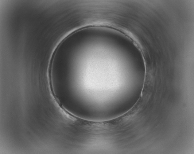 X0000073870959200608101506