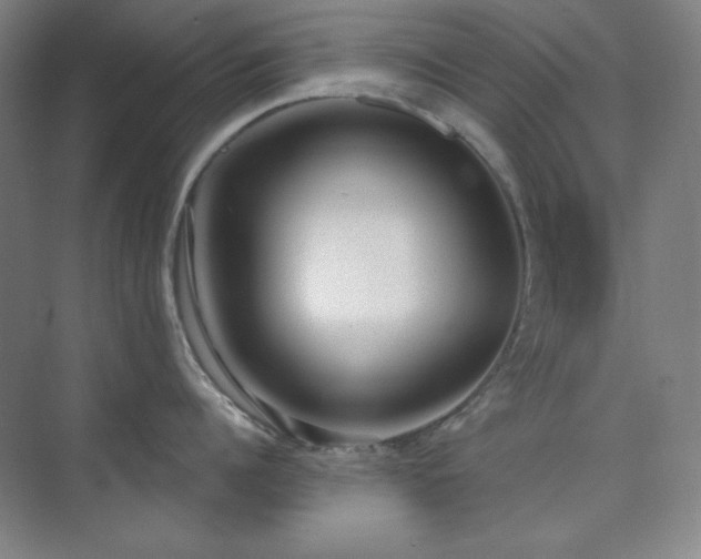 X0000073870960200608101506