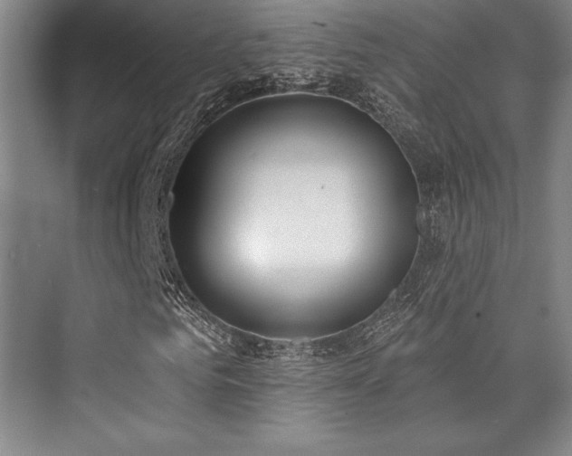 X0000073870961200608101505