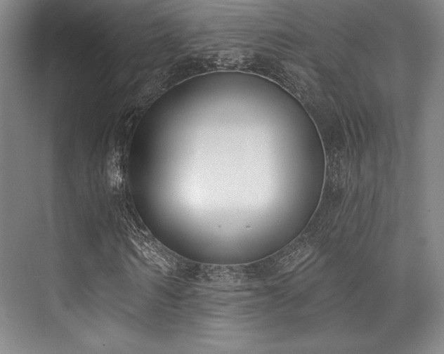 X0000073870962200608101505