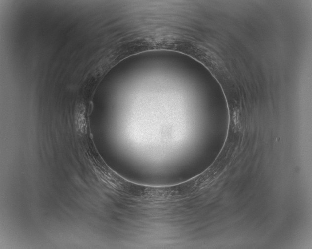 X0000073870963200608101505