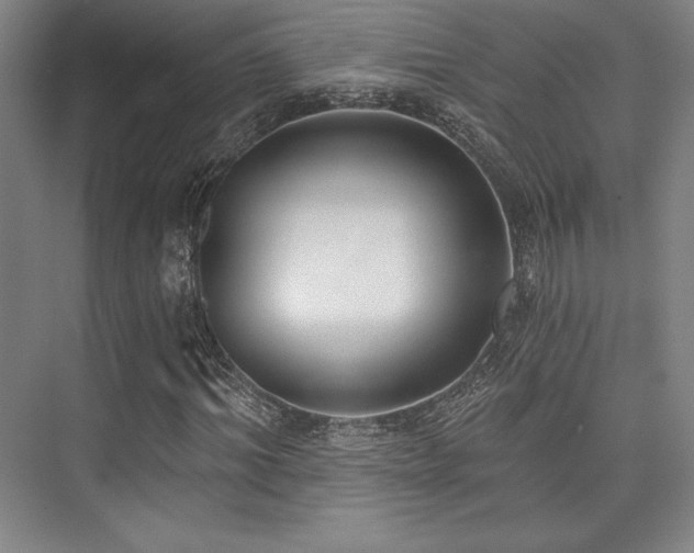 X0000073870964200608101505