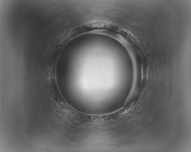 X0000073870965200608101505