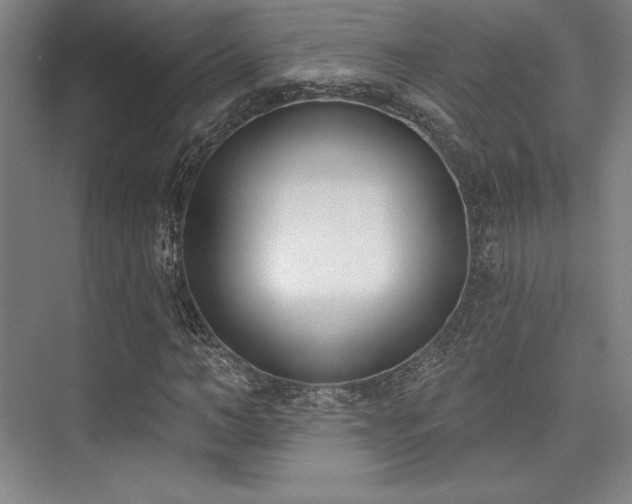 X0000073870966200608101505