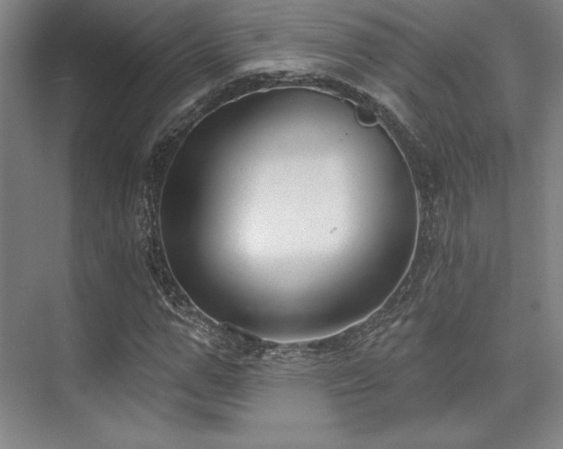 X0000073870967200608101505