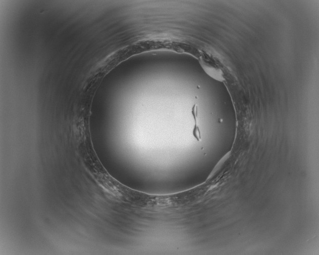 X0000073870968200608101505