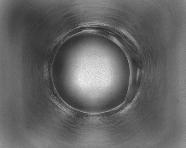 X0000073870969200608101505