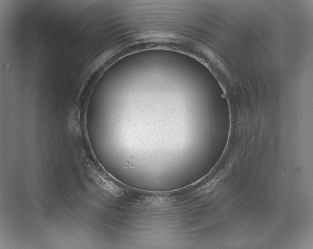 X0000073870970200608101505