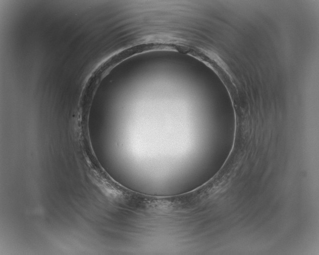 X0000073870971200608101505