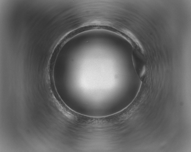 X0000073870972200608101505