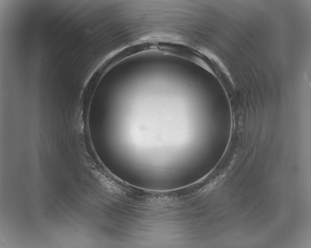 X0000073870973200608101505