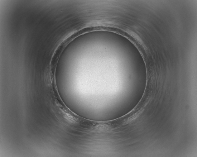 X0000073870974200608101505