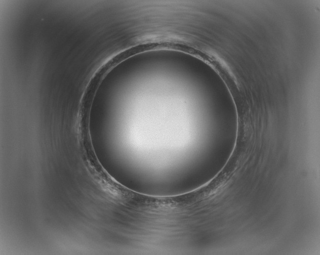 X0000073870975200608101505