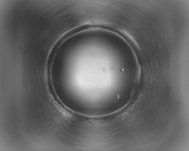 X0000073870976200608101505