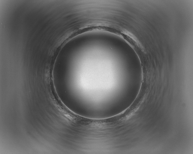 X0000073870977200608101505