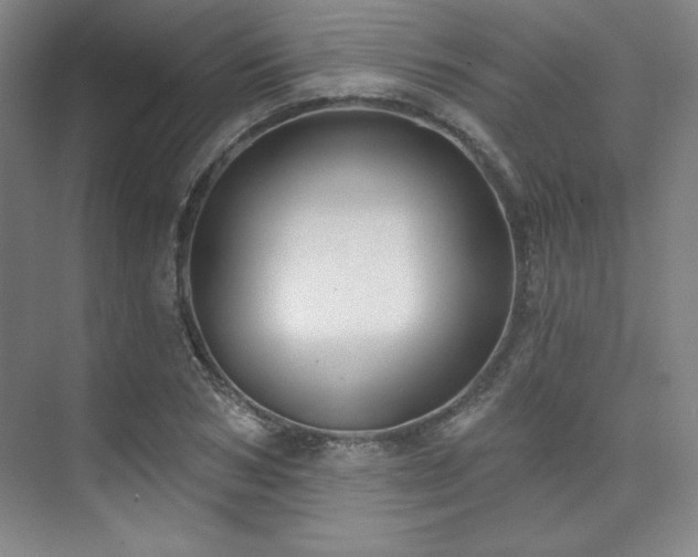 X0000073870978200608101505