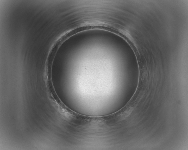 X0000073870979200608101505