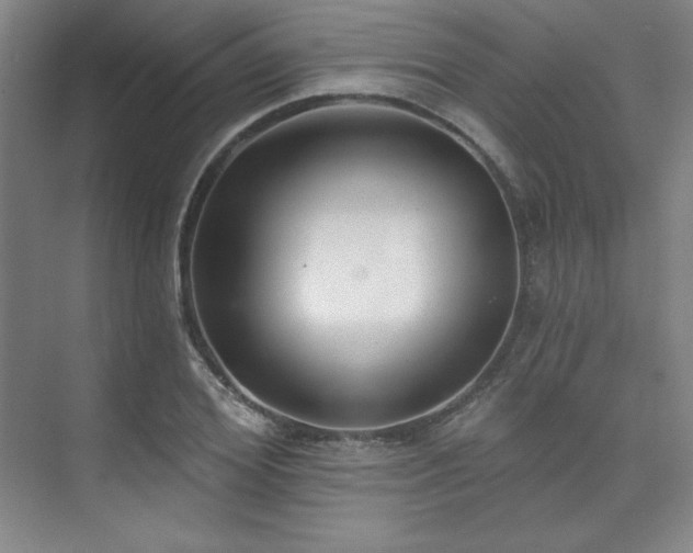 X0000073870980200608101505