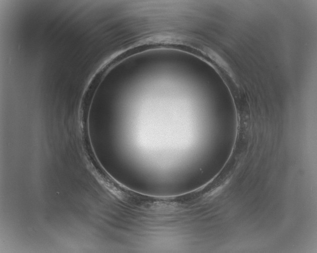 X0000073870981200608101505