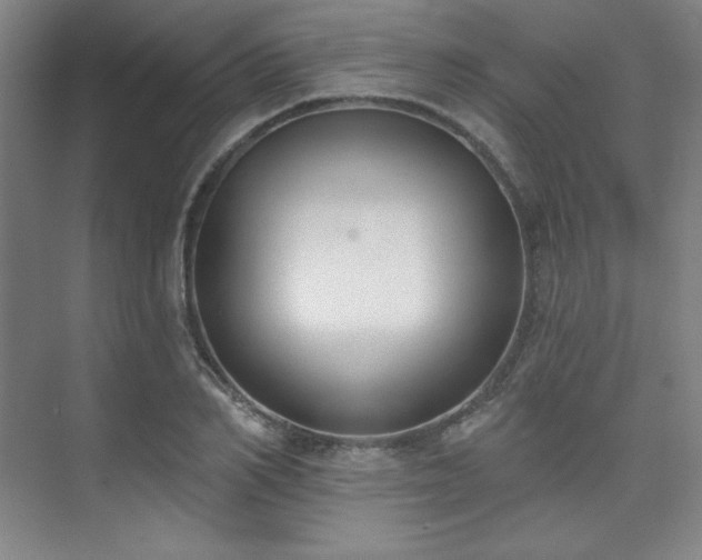 X0000073870982200608101505