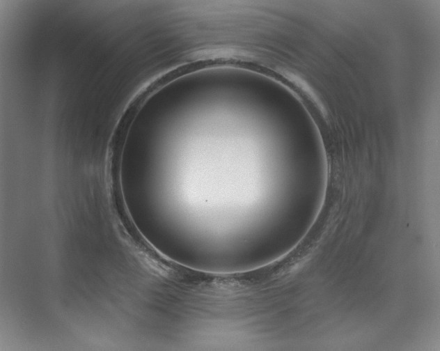 X0000073870983200608101505