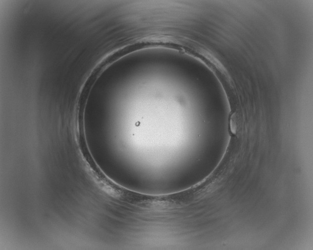 X0000073870984200608101505