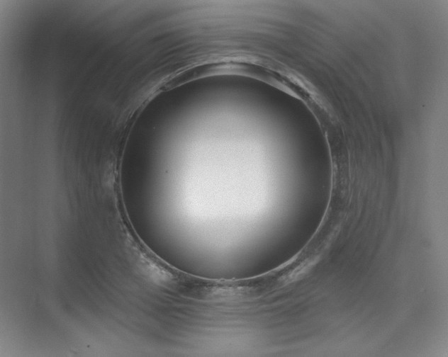 X0000073870985200608101505