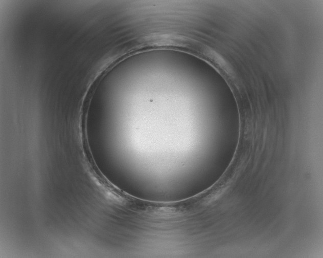 X0000073870986200608101505